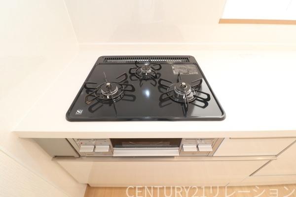 綾瀬市蓼川3丁目　新築分譲B号棟