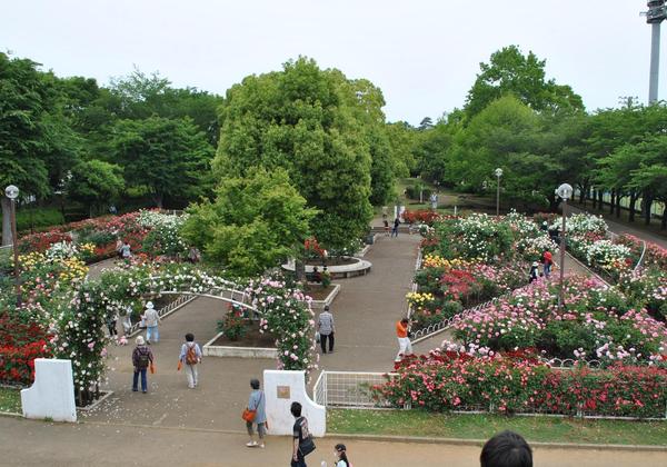 綾瀬市寺尾本町3丁目の土地(光綾公園)