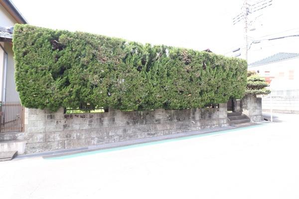 座間市緑ケ丘２丁目の土地