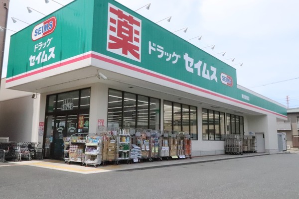 高座郡寒川町一之宮2丁目の土地(ドラッグセイムス寒川駅前店)
