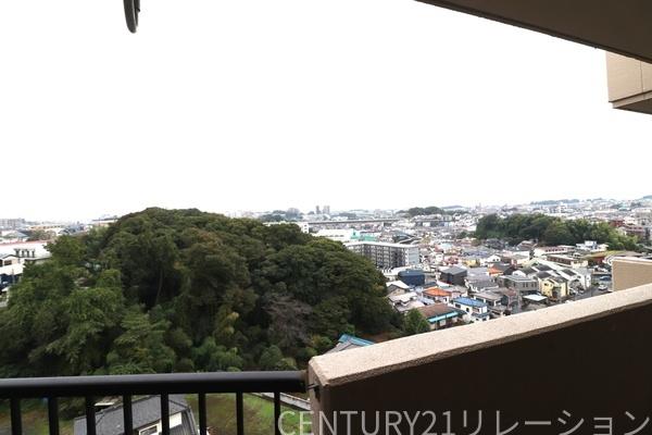 コスモさがみ野