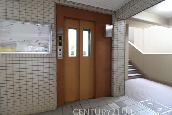 コスモさがみ野