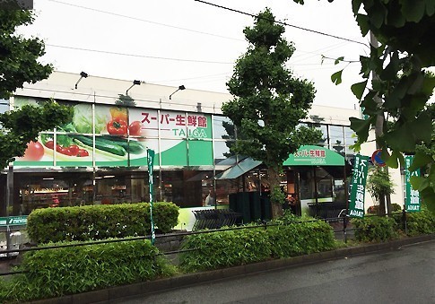 座間市緑ケ丘２丁目の土地(スーパー生鮮館TAIGA座間店)