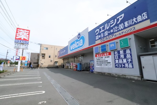 高座郡寒川町田端の土地(ウエルシア寒川大曲店)