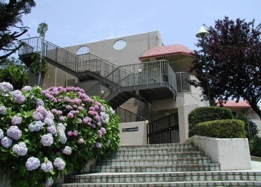 海老名市国分寺台3丁目第16新築分譲2号棟(たちばな保育園)