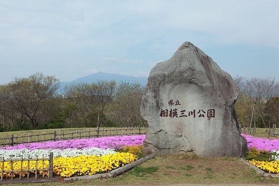 海老名市上郷3丁目4期新築一戸建て(県立相模三川公園)
