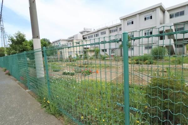 ライオンズマンション寒川第２(寒川町立一之宮小学校)