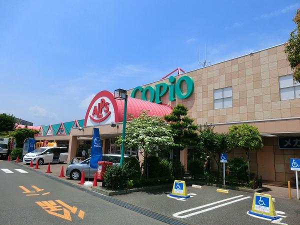 愛甲郡愛川町中津の土地(スーパーアルプス塩田店)