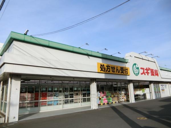 ネオスアクシア本厚木コアフィール(スギドラッグ厚木恩名店)