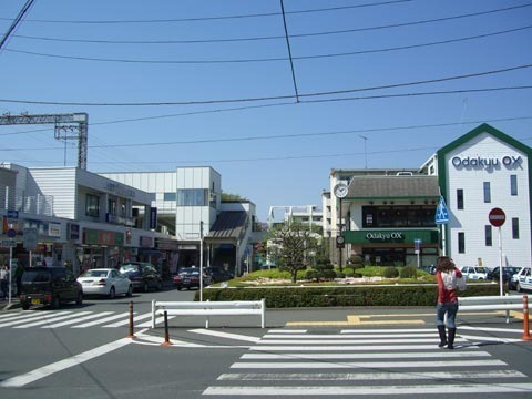東建座間ハイツ1号棟(座間駅(小田急小田原線))