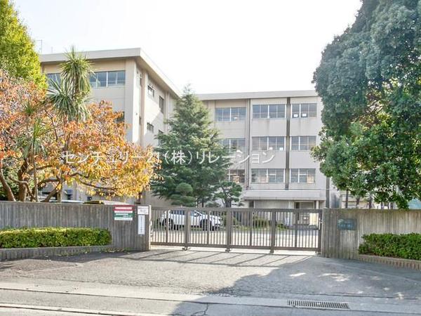 海老名市中新田３丁目の土地(海老名市立中新田小学校)