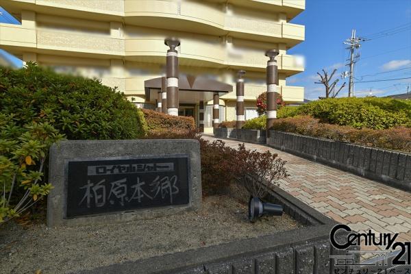 ロイヤルシャトー柏原本郷
