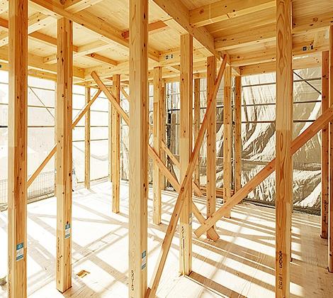 クレイドルガーデン中山町１号棟／新築一戸建