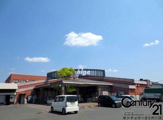葛城市林堂の土地(マルシゲ大和新庄店)
