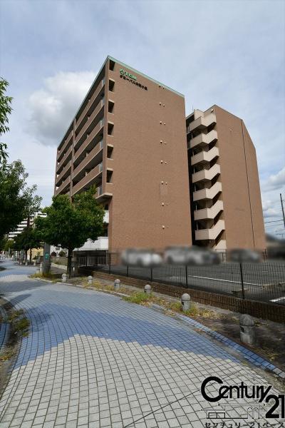 グローバル大和小泉
