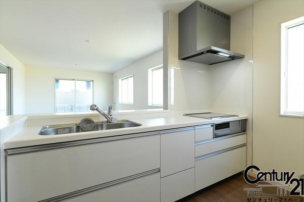 リーブルガーデン田井庄町１号棟／新築一戸建