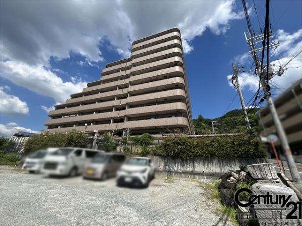 ライオンズマンション柏原