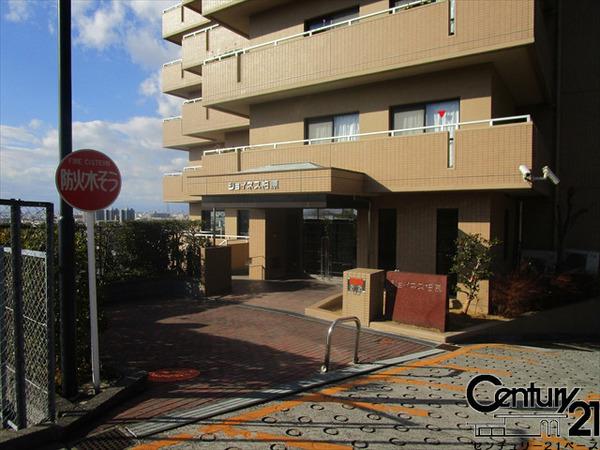 ジョイネス柏原