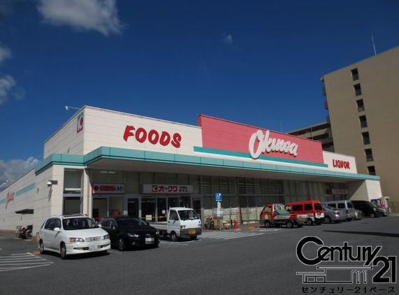 大和郡山市九条町の土地(オークワ大和郡山柳町店)