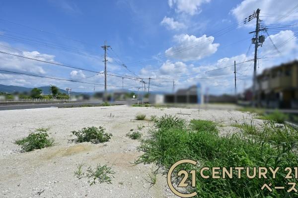 磯城郡田原本町大字平田の土地
