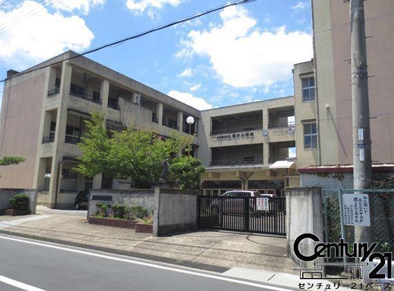 大和郡山市筒井町の土地(大和郡山市立筒井小学校)