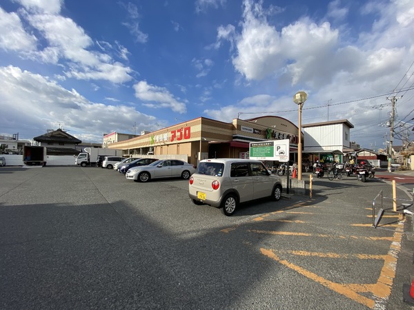 八尾市垣内３丁目の中古一戸建て(食品館アプロ恩智店)