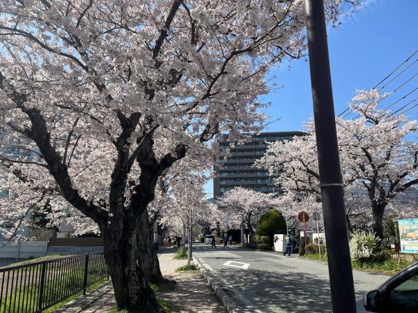 イーグルコートびわ湖大津京(柳が崎湖畔公園)
