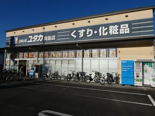 京都市伏見区向島立河原町の一戸建(ドラッグユタカ向島店)