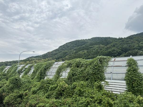 ライオンズマンション山科大宅