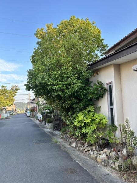 近江八幡市若葉町５丁目の売土地