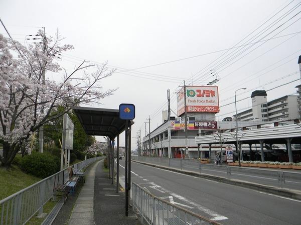 河内長野市北青葉台　新築一戸建(コノミヤ北青葉台店)