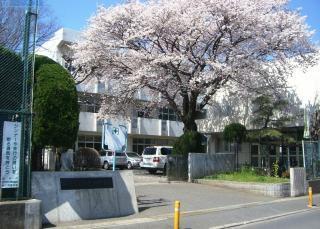 坂戸市柳町の土地(坂戸市立千代田小学校)