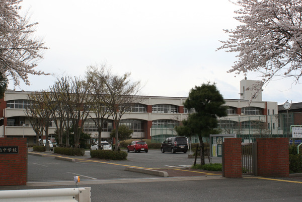 東松山市大字西本宿の土地(東松山市立南中学校)