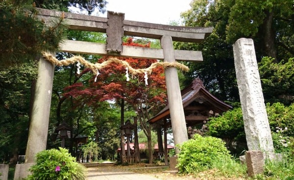 坂戸市大字青木の土地(大宮住吉神社(坂戸市))