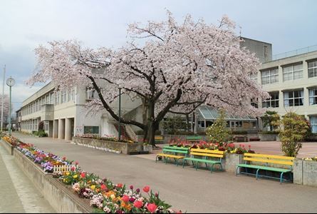 鶴ヶ島市大字中新田の土地(鶴ヶ島市立新町小学校)