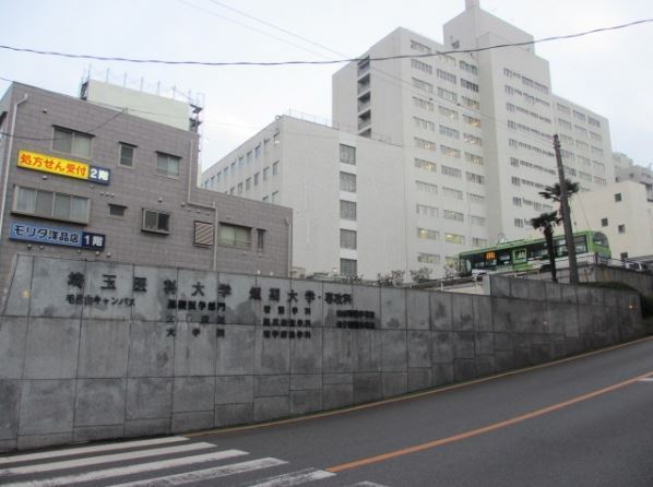 毛呂山町南台第3 新築分譲住宅(埼玉医科大学病院)