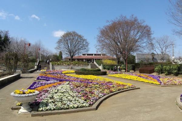 日高市大字高富の中古一戸建て(智光山公園)
