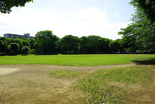 坂戸市大字塚越の土地(千代田公園)