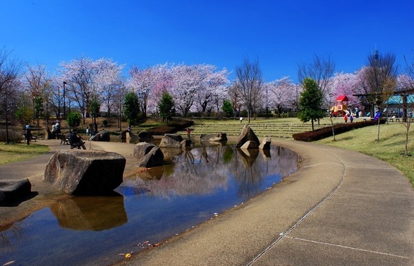 川越市笠幡 新築分譲住宅(川越第二ひばり幼稚園)
