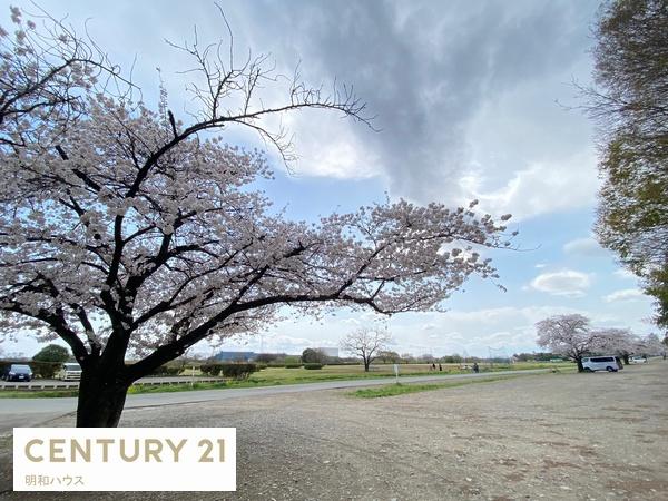 川越市かすみ野1丁目 新築分譲住宅 全2棟(安比奈新田親水公園)