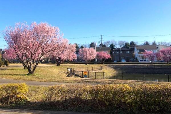 比企郡滑川町月の輪3丁目の土地(なかまる公園)