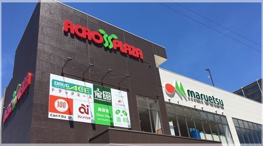 ダイアパレス坂戸(マルエツアクロスプラザ坂戸店)