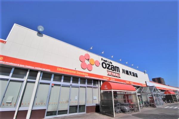 鶴ヶ島市大字鶴ヶ丘の土地(オザムバリュー川越天沼店)