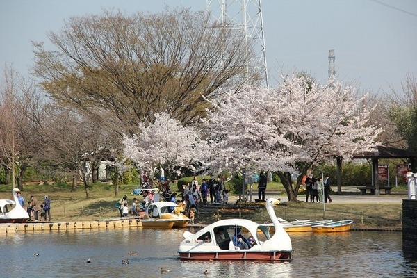 川越市大字的場の土地(霞ケ関東緑地)