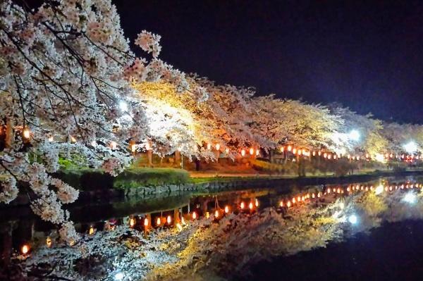 東松山市日吉町の中古一戸建て(上沼公園)