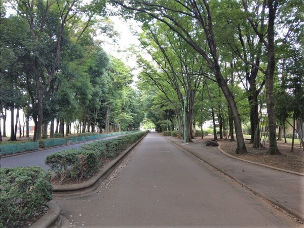 鶴ヶ島市富士見第１　新築分譲住宅(竹野緑地)