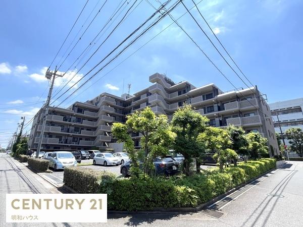 ハイラーク若葉マロニエアベニュー
