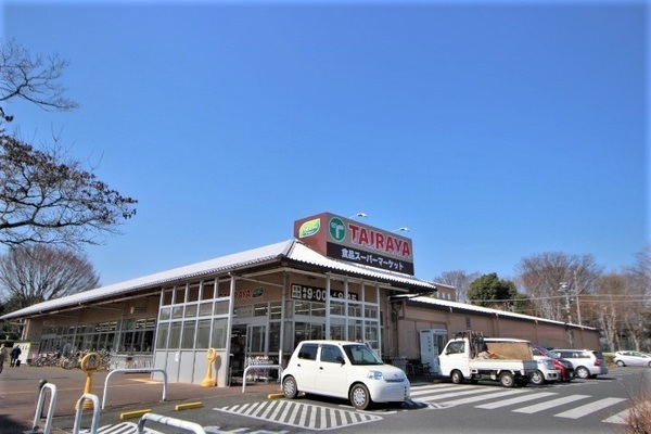 鶴ヶ島市松ヶ丘３丁目の中古一戸建て(エコスTAIRAYA川鶴店)