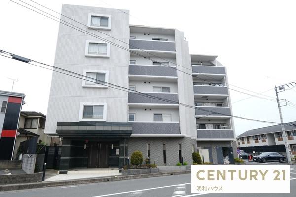 エバーグリーン若葉