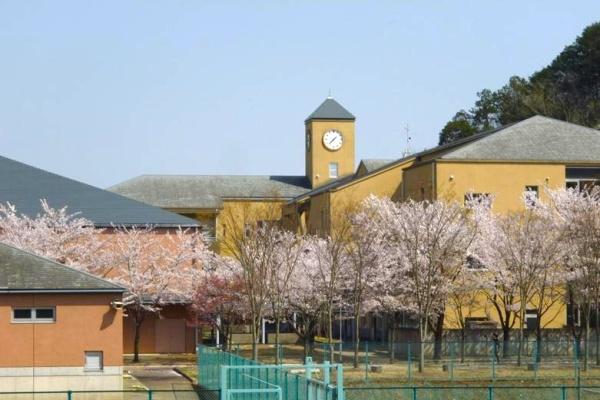 比企郡小川町大字腰越の土地(小川町立小川中学校)